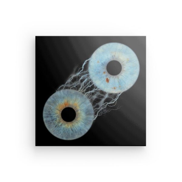 Alu-Dibond - bis zu 6 Augen - Irisfotografie – Bild 2